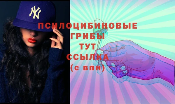 спиды Алексеевка