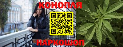 крисы Гусев
