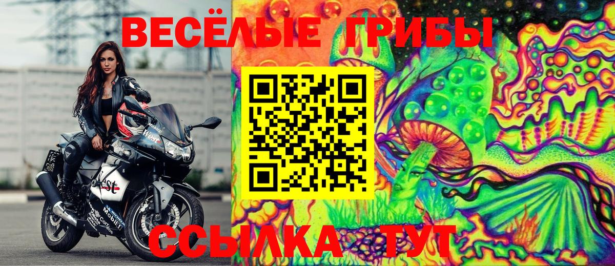 Галлюциногенные грибы GOLDEN TEACHER Элиста