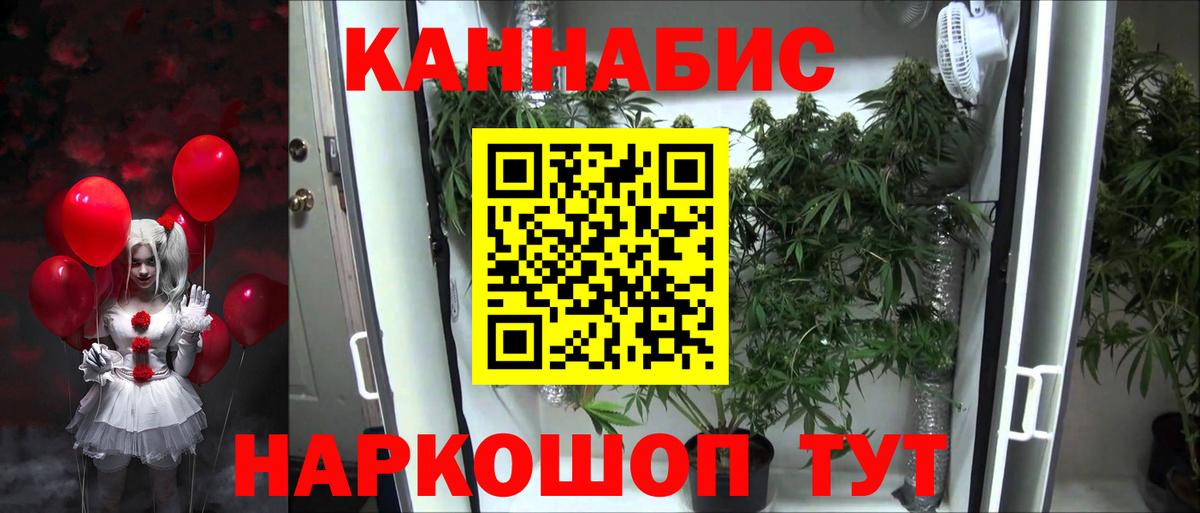 Элиста  Бошки марихуана ГИДРОПОН  Бошки Шишки план  Вход с VPN 
